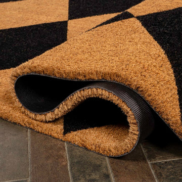 Paige Modern Classic Diamond-patterned Coir Area Rug